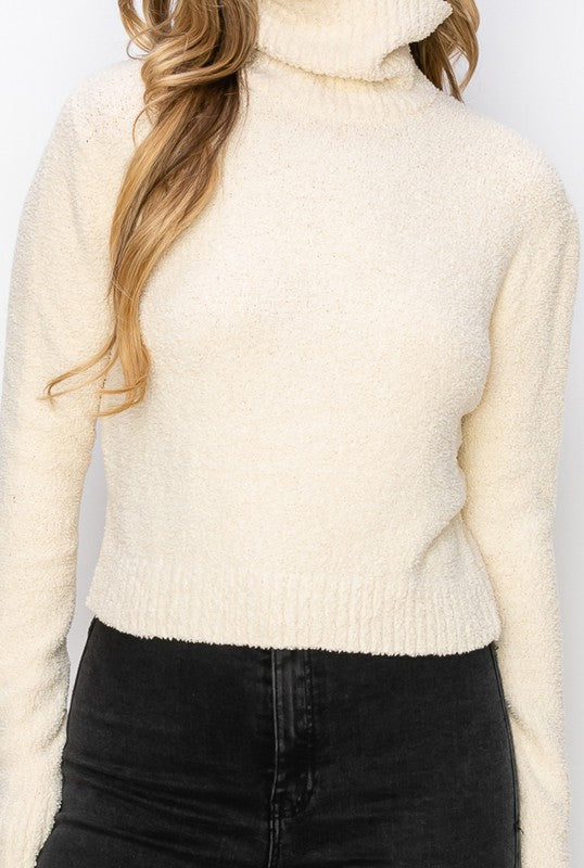 Willow Turtleneck Sweater